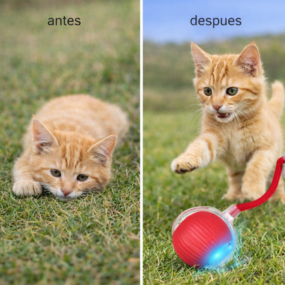 Pelota automatica recargable