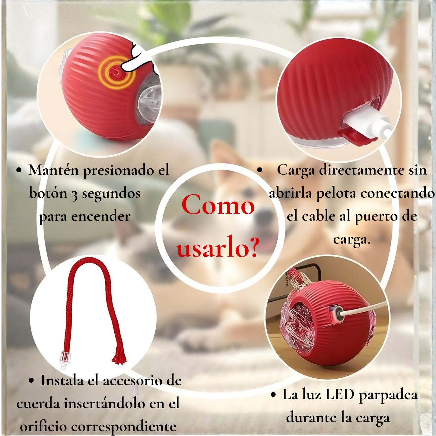 Pelota automatica recargable