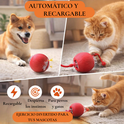 Pelota automatica recargable